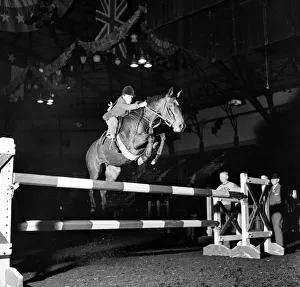One of the competitors in the Horse of the year show, Harringay. October 1952 C4933-001 One of the competitors in the Horse of the year show, Harringay. October 1952 C4933-001