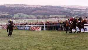 Cool Ground Wins The 1992 Cheltenham Gold Cup In A Driving Finish From The French Horse Cool Ground Wins The 1992 Cheltenham Gold Cup In A Driving Finish From The French Horse