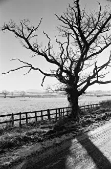 Images Dated 1st February 1980: Countryside Scenes, Cleveland, North Yorkshire, 1st February 1980