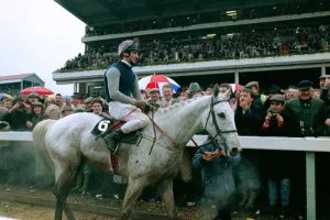 Crowds cheer jockey Simon Sherwood after he won the Gold Cup at Cheltenham on famous Crowds cheer jockey Simon Sherwood after he won the Gold Cup at Cheltenham on famous