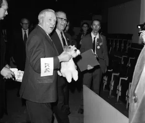 Crufts. Dog winner. February 1975 75-00769-003 Crufts. Dog winner. February 1975 75-00769-003