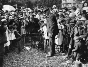 The Daily Mirror's Pip, Squeak and Wilfred on the Kentish Coast. August 1920 The Daily Mirror's Pip, Squeak and Wilfred on the Kentish Coast. August 1920