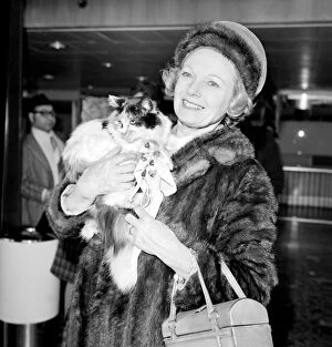 Images Dated 20th February 1970: Dame Anna Neagle and her husband Herbert Wilcox arrived at Heathrow Airport today