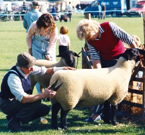 Darlington's 35th annual show, South Park, Circa 1986 Darlington's 35th annual show, South Park, Circa 1986