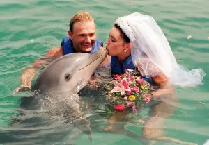 David Blades marries bride Avril Thomson in the Blue Laggon on the Bahamas David Blades marries bride Avril Thomson in the Blue Laggon on the Bahamas