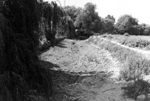 Death of a river July 1976 The Darent at Farningham Death of a river July 1976 The Darent at Farningham