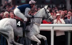 Desert Orchid leads the field in the 1990 Cheltenham Gold Cup race. 17th March 1990 Desert Orchid leads the field in the 1990 Cheltenham Gold Cup race. 17th March 1990