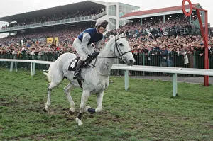 Desert Orchid and Richard Dunwoody finish 3rd in the 1990 Cheltenham Gold Cup Desert Orchid and Richard Dunwoody finish 3rd in the 1990 Cheltenham Gold Cup