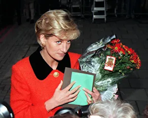 Diana, Princess of Wales at a meeting in London to mark the 30th anniversary of Diana, Princess of Wales at a meeting in London to mark the 30th anniversary of