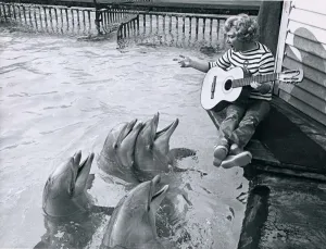 The Dolphins gather around to listen to Kay Smart as she sings The Dolphins gather around to listen to Kay Smart as she sings