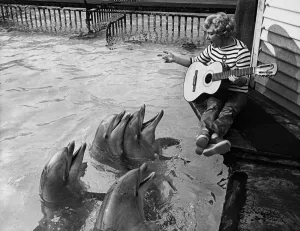 The Dolphins gather round to listen to Kay Smart singing, with guitar accompaniment The Dolphins gather round to listen to Kay Smart singing, with guitar accompaniment