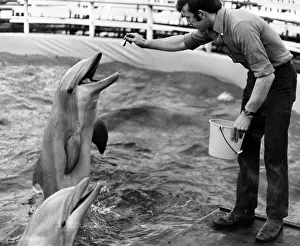 Dolphins, Nero and Chipper get their rations from Mr Rendell Dolphins, Nero and Chipper get their rations from Mr Rendell