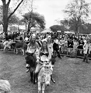 Images Dated 1st April 1972: Donkey Derby held for charity at Festival Gardens. April 1972 72-04585-007