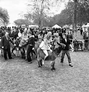 Images Dated 1st April 1972: Donkey Derby held for charity at Festival Gardens. April 1972 72-04585-003