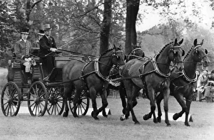 The Duke of Edinburgh. Prince Philip Carriage racing. May 1975 The Duke of Edinburgh. Prince Philip Carriage racing. May 1975