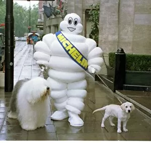 Images Dated 30th September 1996: The Dulux Dog (L) Mr Michelin And The Andrex Puppy (R) Three Images Go For A Walk At The