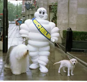 The Dulux Dog (L) Mr Michelin And The Andrex Puppy (R) Three Images Go For A Walk At The The Dulux Dog (L) Mr Michelin And The Andrex Puppy (R) Three Images Go For A Walk At The