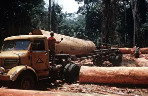 Ekona Cameroon Loading huge logs onto logging truck Ekona Cameroon Loading huge logs onto logging truck