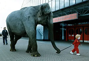 Elephant small child takes elephant Janey for a walk at SECC circa 1989 Elephant small child takes elephant Janey for a walk at SECC circa 1989