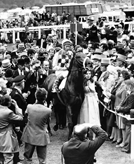 Empery Racehorse enters the winners enclosure with Jockey Lester Piggott on board Empery Racehorse enters the winners enclosure with Jockey Lester Piggott on board