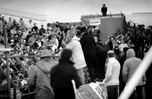 English FA Cup match Blackpool 2 v Manchester City 1 Trouble in the crowd English FA Cup match Blackpool 2 v Manchester City 1 Trouble in the crowd