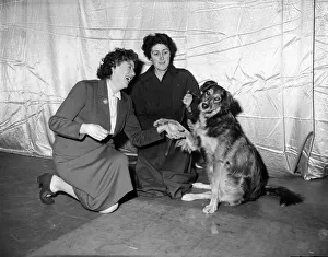 Enid Blyton (far left) shakes hand with the dog selected for the part in " Enid Blyton (far left) shakes hand with the dog selected for the part in "