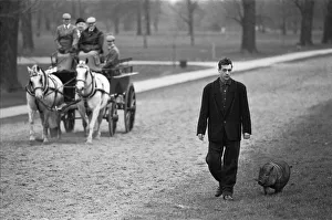 Not an everyday sight. A man walks his pig in Hyde Park as a horse Not an everyday sight. A man walks his pig in Hyde Park as a horse