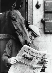 Famous racehorse Arkle looking over the shoulder of head lad Paddy Murray reading Famous racehorse Arkle looking over the shoulder of head lad Paddy Murray reading