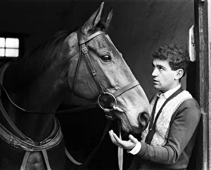 Famous racehorse Arkle being tended by a stable lad Johnny Lumley at the stables of Tom Famous racehorse Arkle being tended by a stable lad Johnny Lumley at the stables of Tom