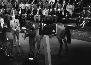 Famous racehorse Red Rum, the Grand National winner, pictured during filming of the BBC Famous racehorse Red Rum, the Grand National winner, pictured during filming of the BBC