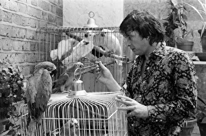 Fashion photographer David Bailey pictured at home with some of his 40 parrots Fashion photographer David Bailey pictured at home with some of his 40 parrots