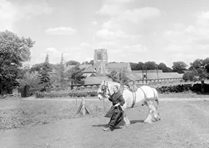 Father Edmunds walks a shire horse through the fields at Mount Saint Bernard Monastery in Father Edmunds walks a shire horse through the fields at Mount Saint Bernard Monastery in