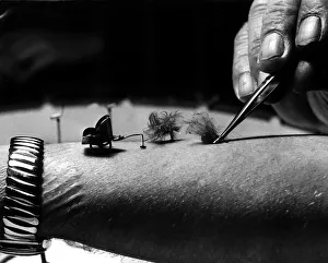 Fleas are trained by Leonard Tomlin pulling weights 1961 Fleas are trained by Leonard Tomlin pulling weights 1961