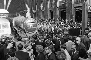 The Flying Scotsman - Trainspotter Special. The Flying Scotsman arrives at The Flying Scotsman - Trainspotter Special. The Flying Scotsman arrives at