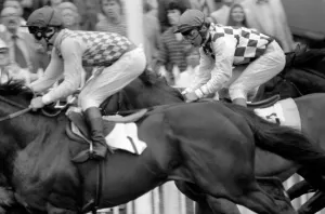 Fresh back from his successful win in the French Derby, Willie Carson rode at Lingfield Fresh back from his successful win in the French Derby, Willie Carson rode at Lingfield