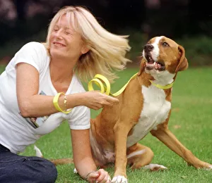 Gabby Roslin TV Presenter with a stray dog, August 1999 Timmy a boxer cross Gabby Roslin TV Presenter with a stray dog, August 1999 Timmy a boxer cross