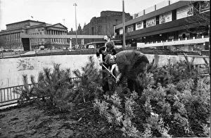 Garden in the City's Heart. A garden is being created on the new Garden in the City's Heart. A garden is being created on the new