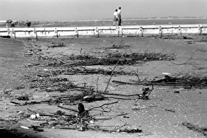 General scenes in Venice. The pollution of the beaches. This is typical of the beaches General scenes in Venice. The pollution of the beaches. This is typical of the beaches