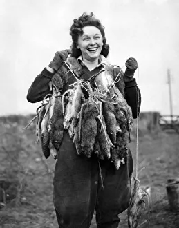 Girls of the Womens Land Army (Pests Department) are employed in S Girls of the Womens Land Army (Pests Department) are employed in S