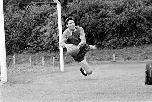 Goalkeeper for Tottenham Hotspur practicing his saves during training Goalkeeper for Tottenham Hotspur practicing his saves during training