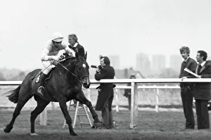 Grittar ridden by Dick Saunders on the run in at Aintree to become the winner of the 1982 Grittar ridden by Dick Saunders on the run in at Aintree to become the winner of the 1982