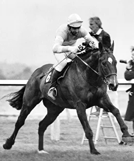 Grittar ridden by Dick Saunders on the run in at Aintree to become the winner of the 1982 Grittar ridden by Dick Saunders on the run in at Aintree to become the winner of the 1982