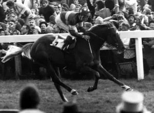 Grundy and jockey Pat Eddery winning The Derby at Epsom - June 1975 Grundy and jockey Pat Eddery winning The Derby at Epsom - June 1975