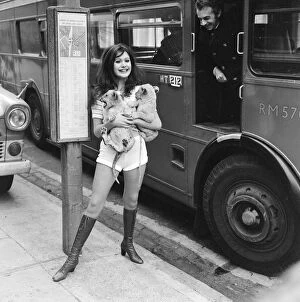Images Dated 20th November 1971: Hammer horror film actress Madeline Smith holds a couple of five week old lion cubs as