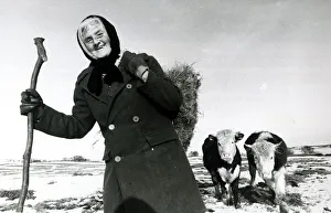 Hannah Hauxwell pictured on her farmland in Baldersdale County Durham with her cattle Hannah Hauxwell pictured on her farmland in Baldersdale County Durham with her cattle