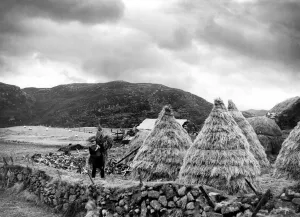 A hardy crofter at work near Stornaway on the island of Lewis in the Outer Hebrides A hardy crofter at work near Stornaway on the island of Lewis in the Outer Hebrides