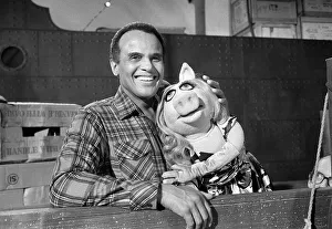 Harry Belafonte (Born 1st March 1927) joins Miss Piggy November 1978 from The Muppets in Harry Belafonte (Born 1st March 1927) joins Miss Piggy November 1978 from The Muppets in