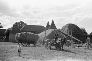 Hay making at Four Elms Leigh in Kent. 1st July 1939 Hay making at Four Elms Leigh in Kent. 1st July 1939