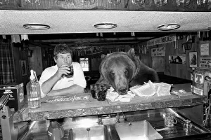 Hercules: The Bear. October 1980 80-5194-009 Hercules: The Bear. October 1980 80-5194-009
