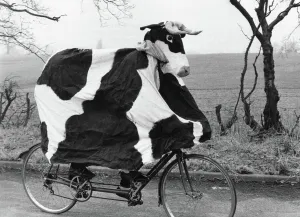 Now here's a likely candidate for this year's milk race Now here's a likely candidate for this year's milk race